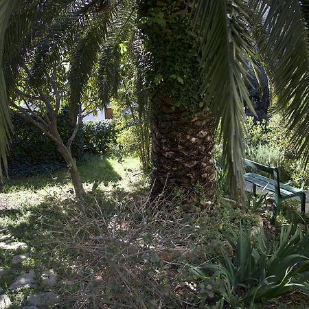 Villa Bunta Sutivan Εξωτερικό φωτογραφία